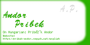 andor pribek business card